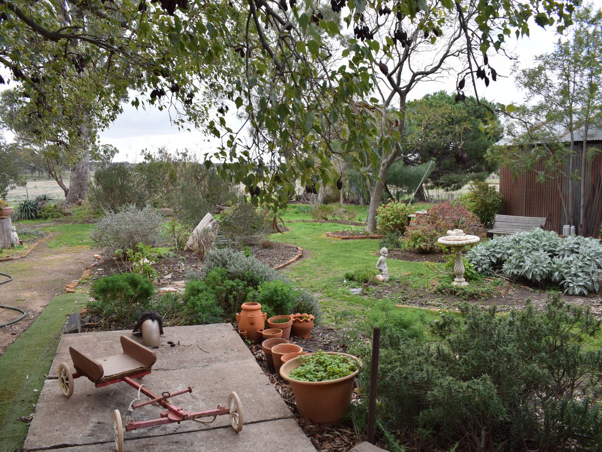 4 Eucy Road, Korong Vale