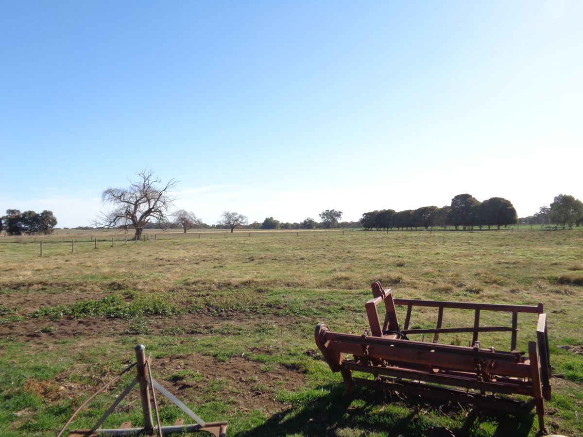 211 Torrumbarry Weir Road, Patho