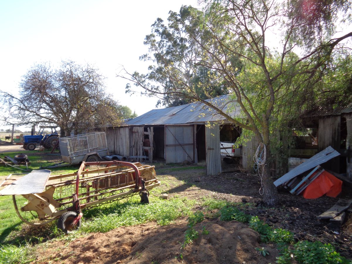 211 Torrumbarry Weir Road, Patho