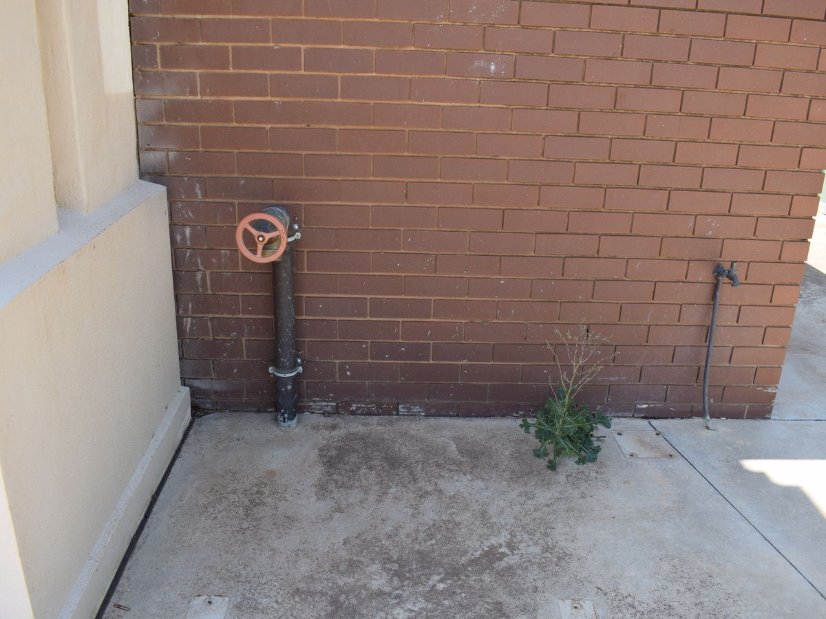 83 Grant Street South, Inglewood