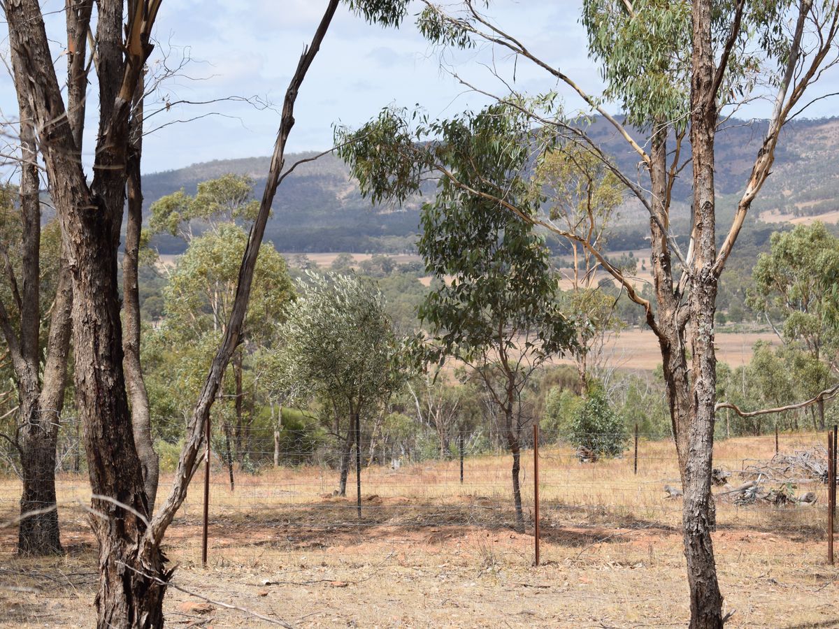 140 O'Briens Drive, Mcintyre