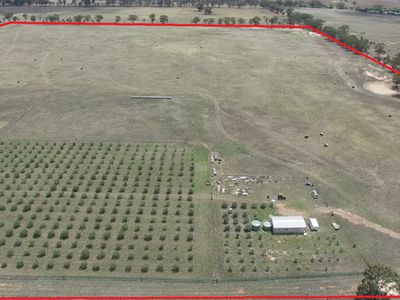 Chamberlain's Road, Inglewood