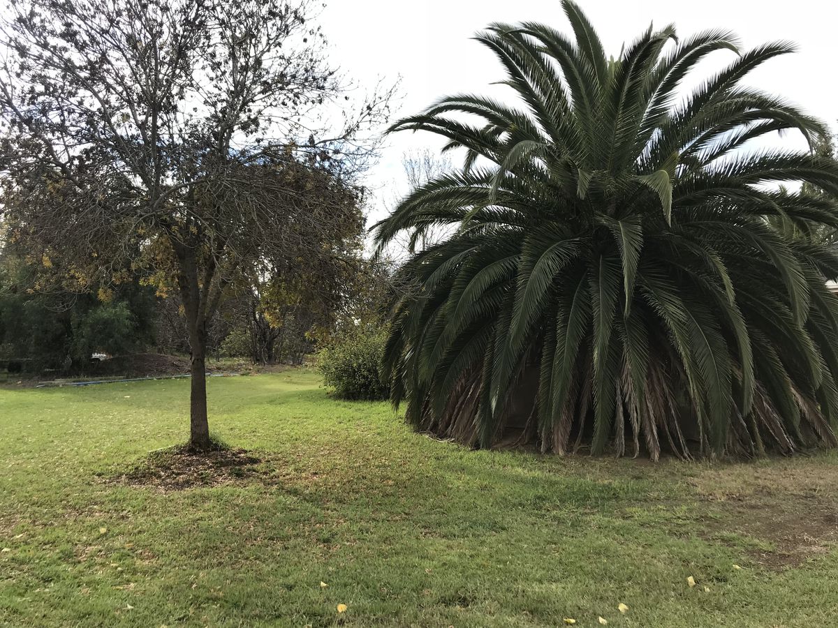 1067 Hansen Road, Bamawm