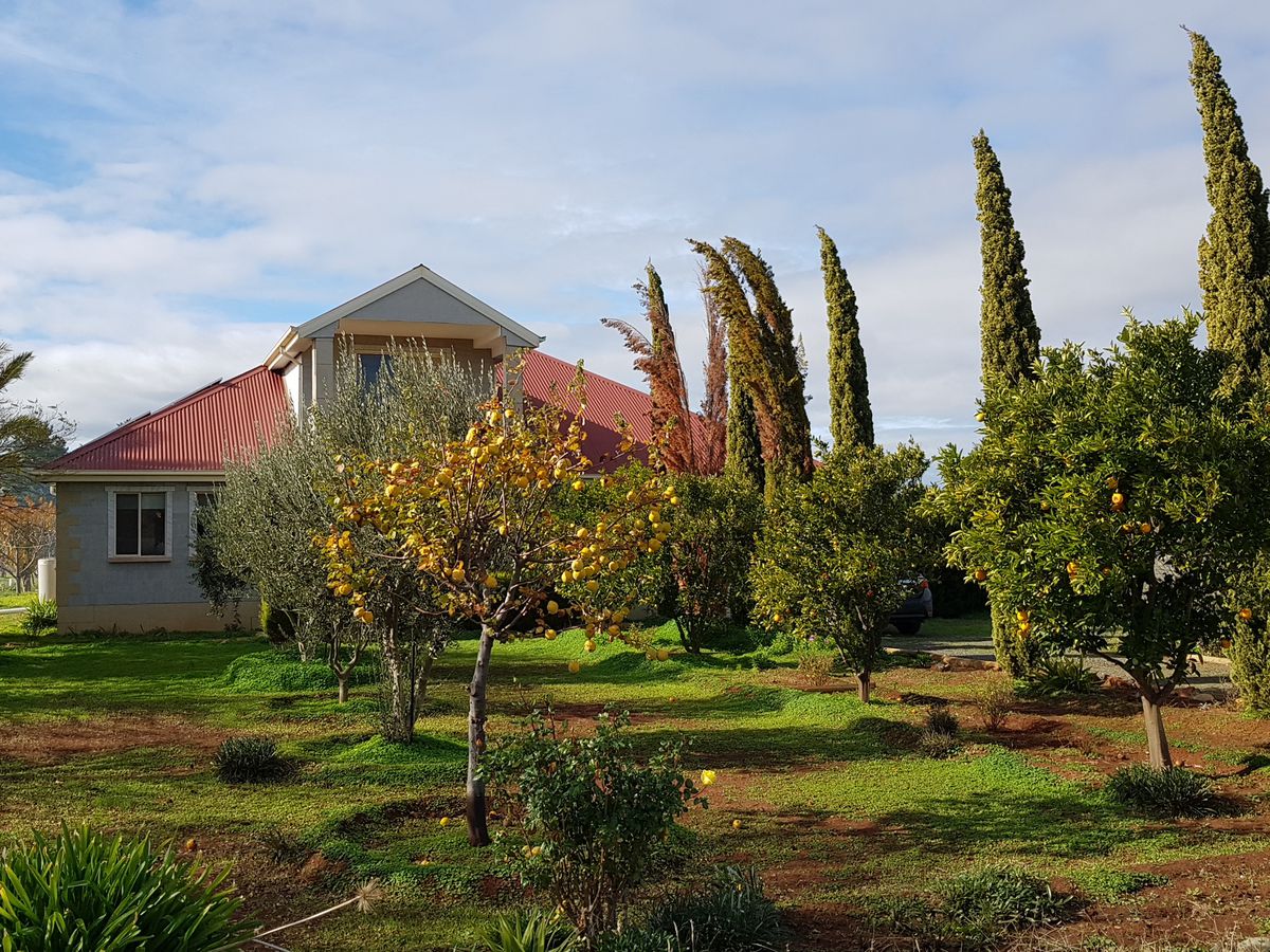 50 School Road, Corop