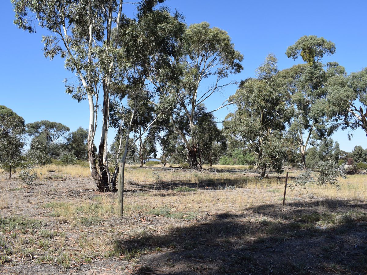 6 Southey Street, Inglewood