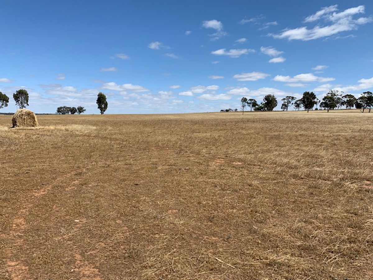 3176 Hanrahan Road, Corop