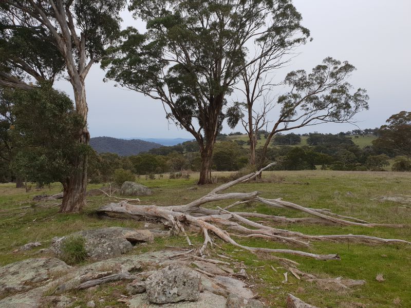 C.A.64 Landscape Road, Tallarook