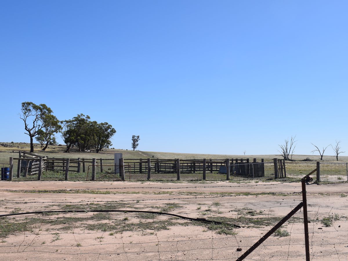 72 KENNEDY ROAD, Fiery Flat