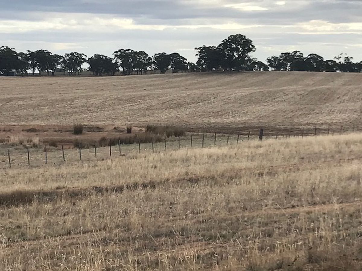 Cnr   Speers & Ryan Rd  , Corop