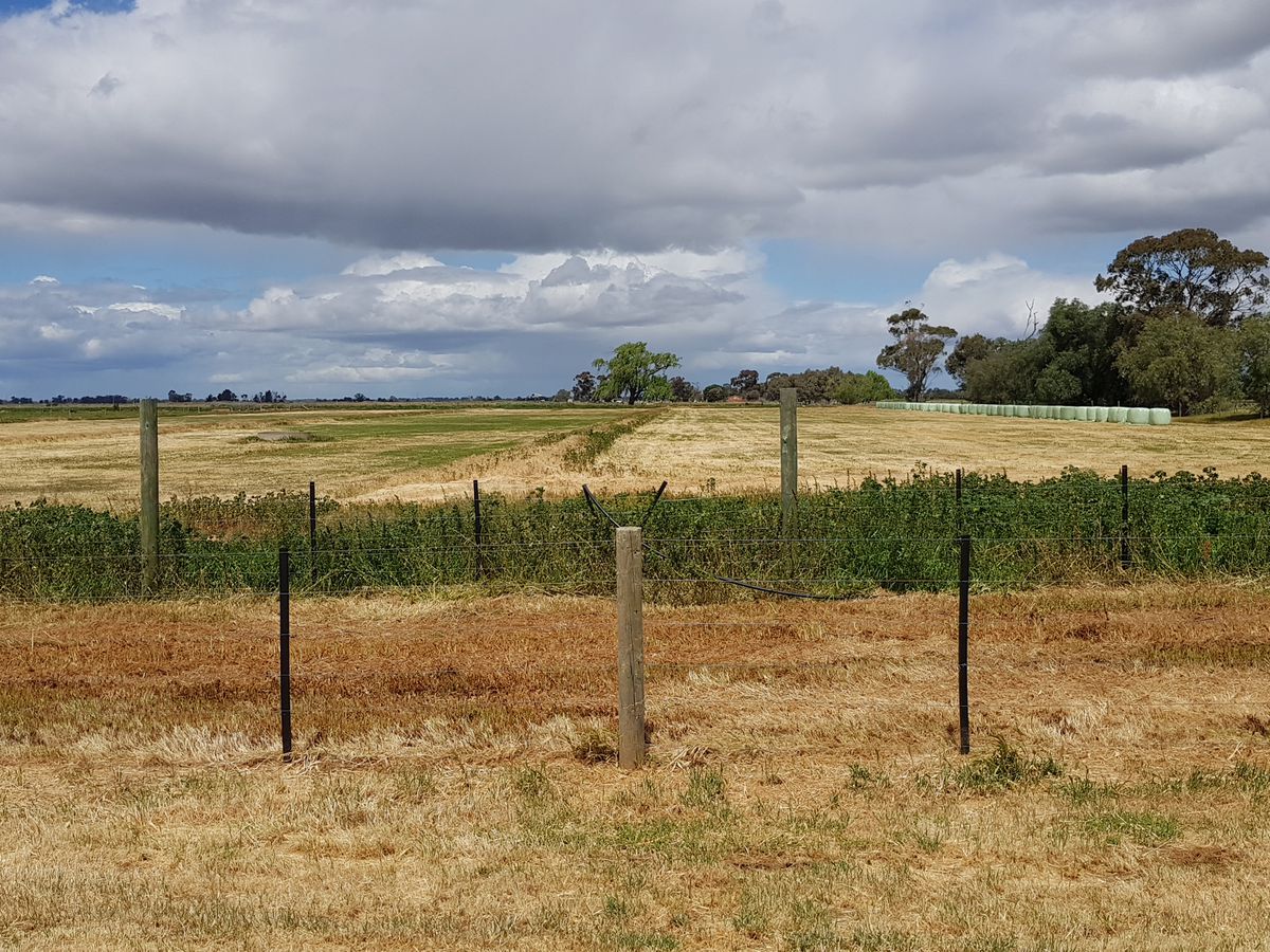 1336 Scobie Road, Tongala