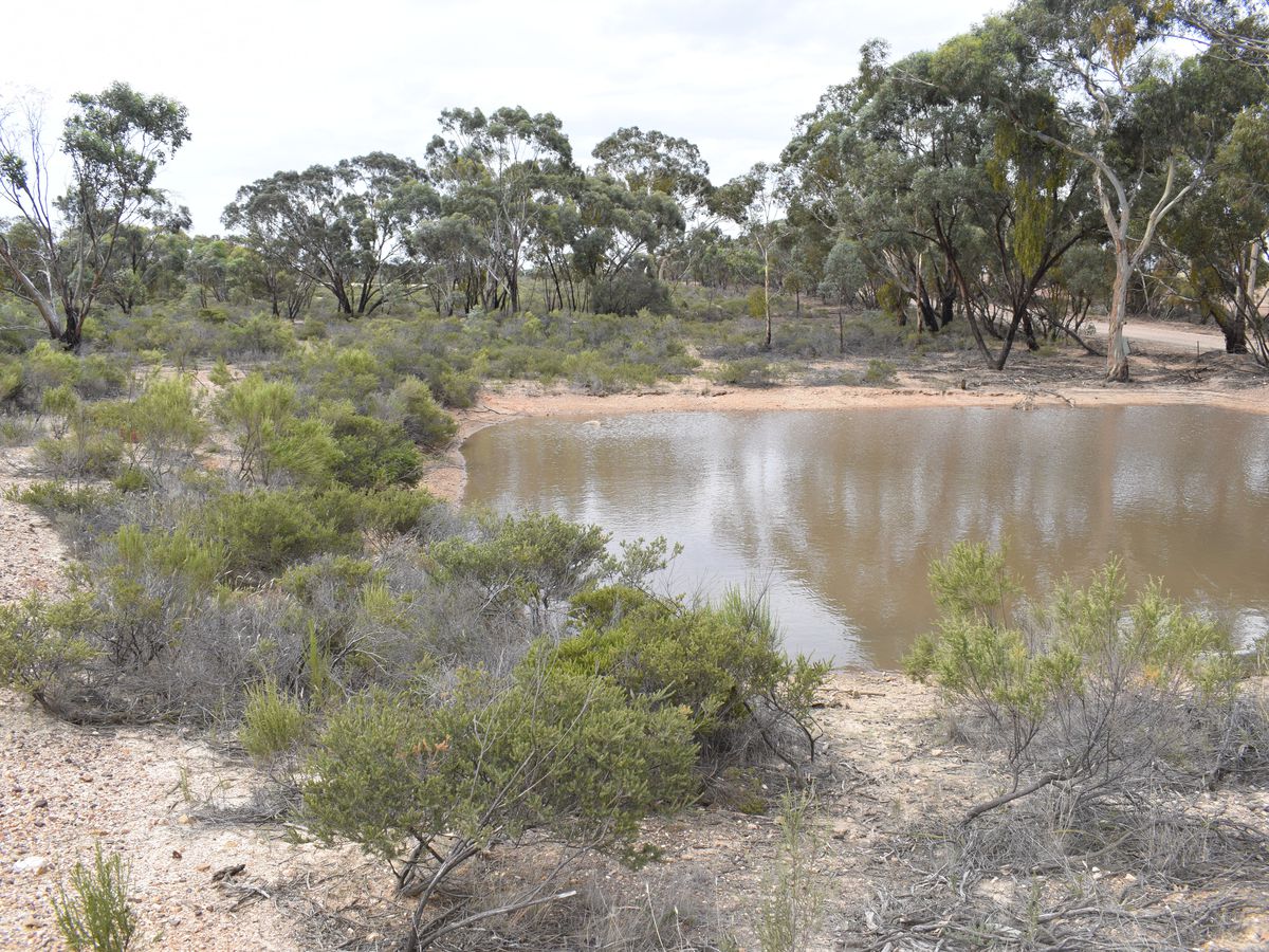 Inglewood-Salisbury Road, Inglewood