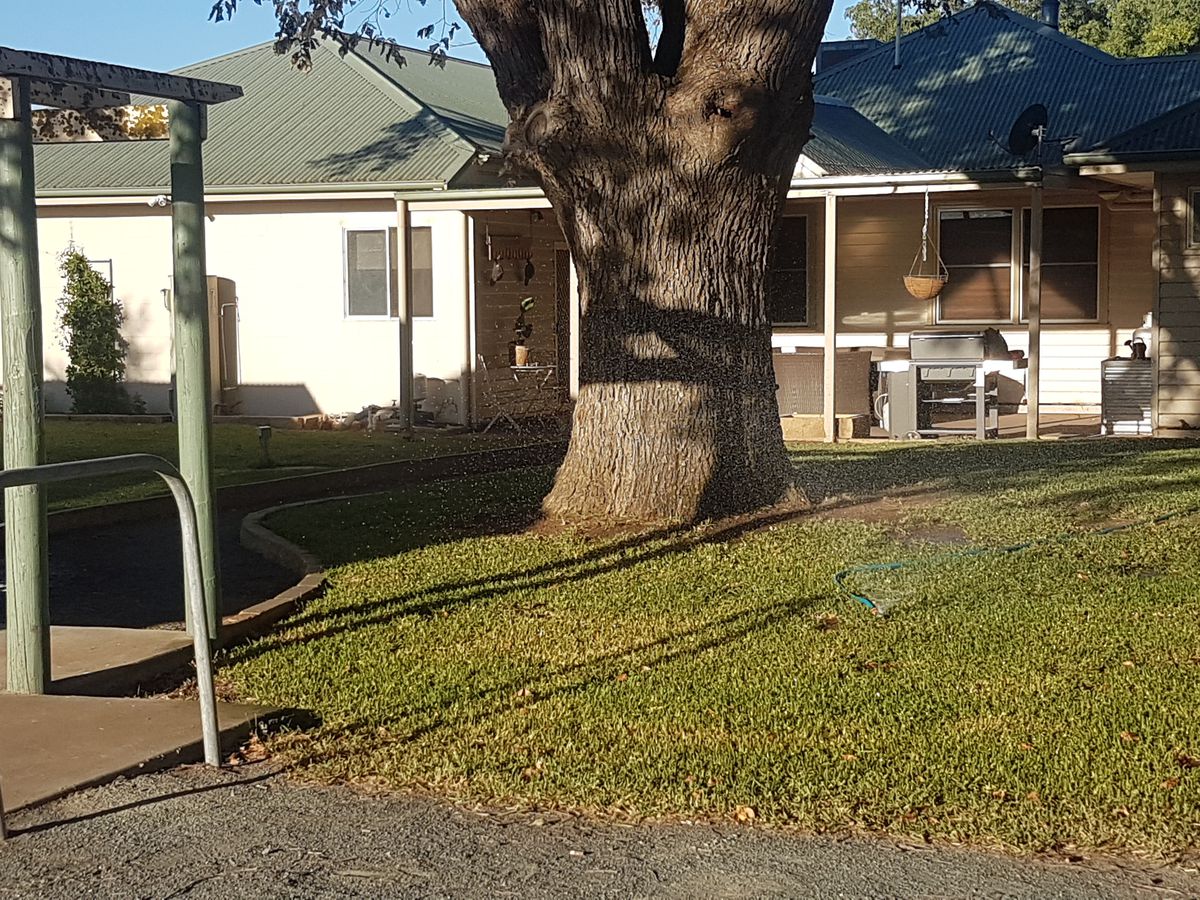 195 Gledhill Road, Ballendella