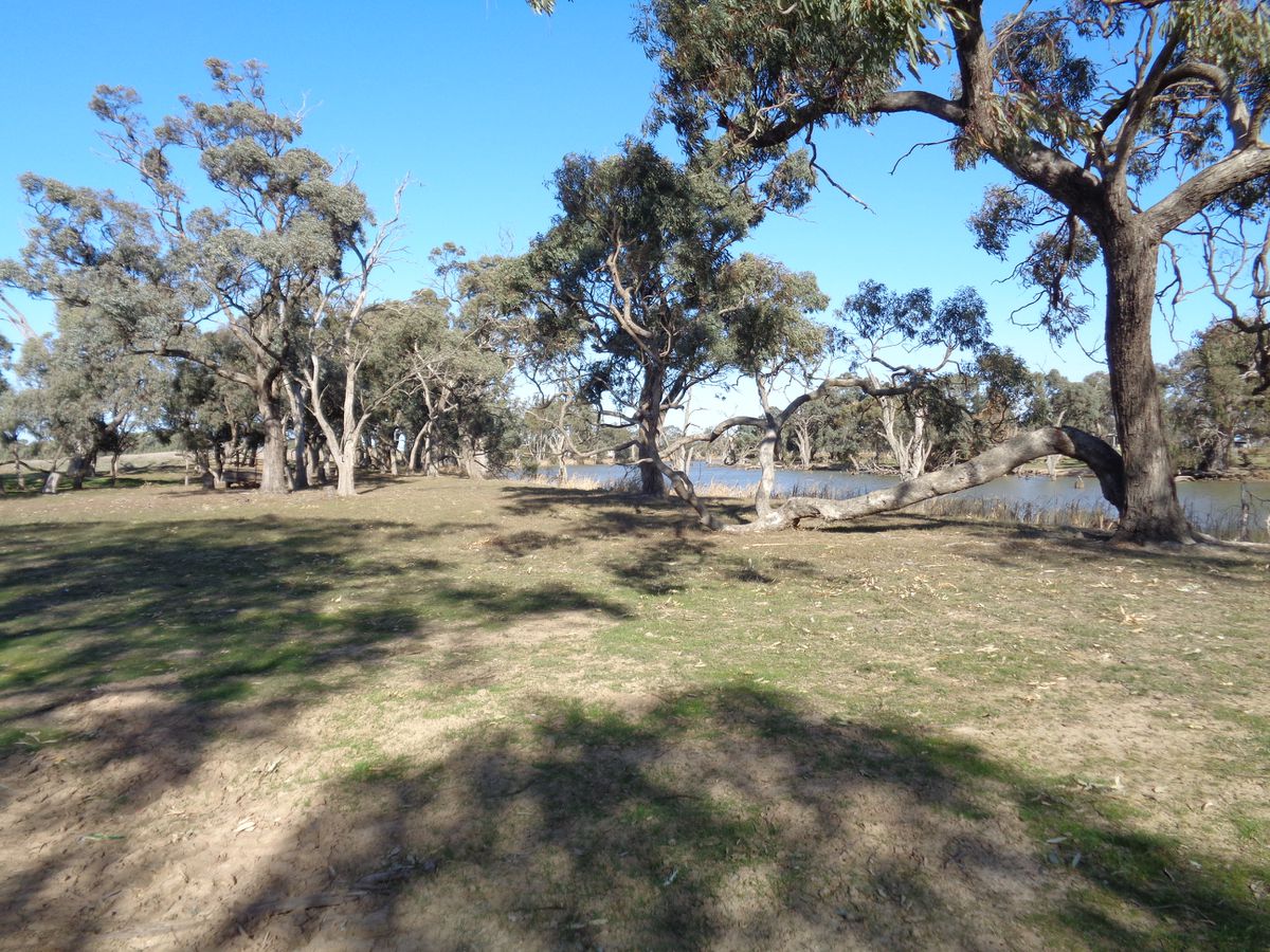 211 Torrumbarry Weir Road, Patho