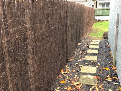 8 Coburn Avenue, North East Valley