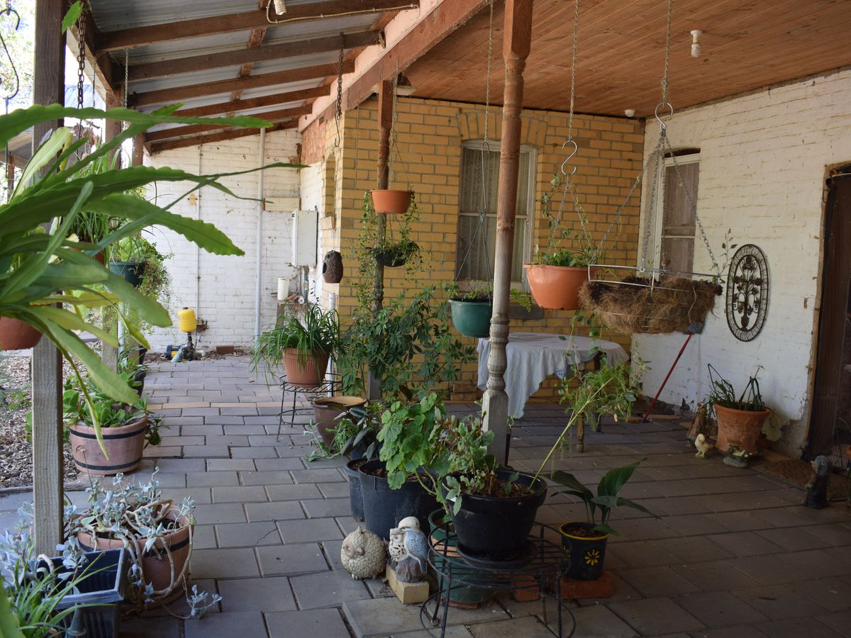 3381 Bridgewater-Maldon Road, Newbridge