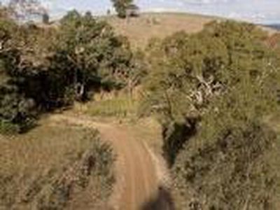 645 Seymour-Pyalong Road, Tallarook