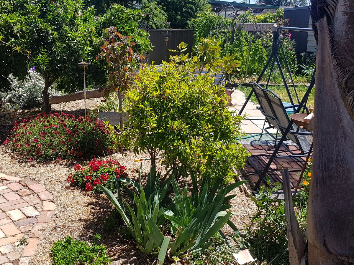 68 Victoria Street, Rochester