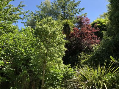 59 and 61 Wilson Road, Balclutha