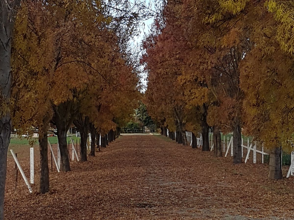 195 Gledhill Road, Ballendella