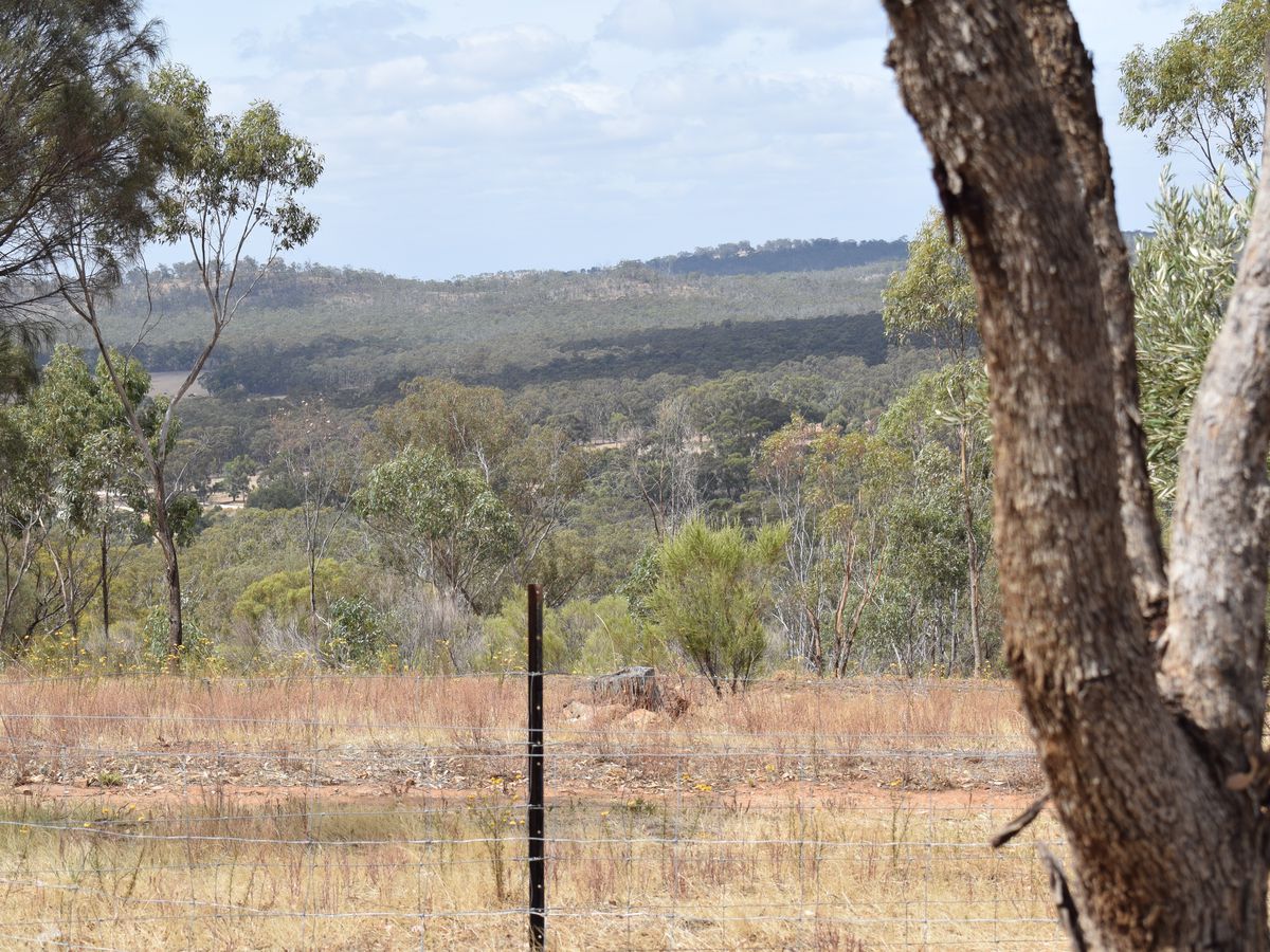 140 O'Briens Drive, Mcintyre