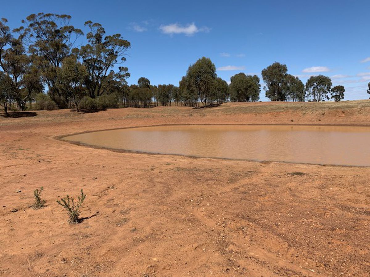 3176 Hanrahan Road, Corop