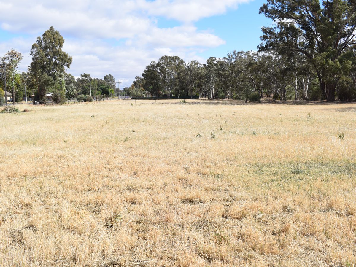 Lot CA 17, High Street, Wedderburn