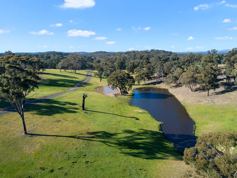 95 Daisyburn Road, Hilldene