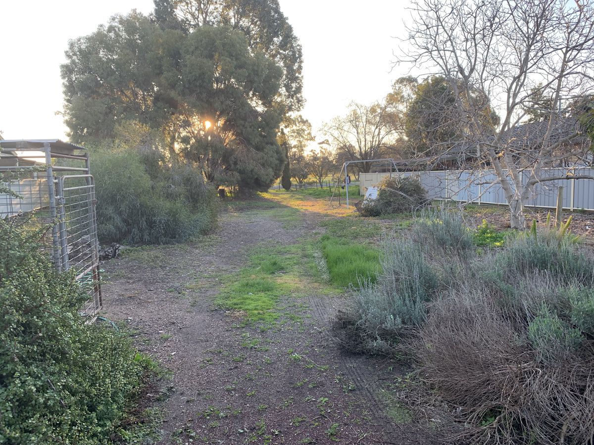 53 Edward Street, Rochester