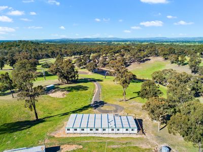 95 Daisyburn Road, Hilldene