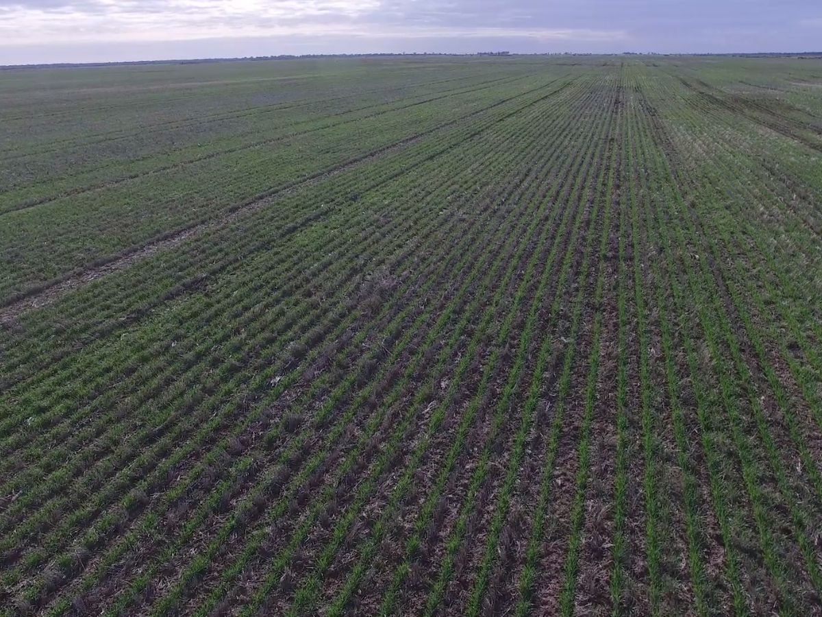 41-43A Canary Island South Road, Durham Ox