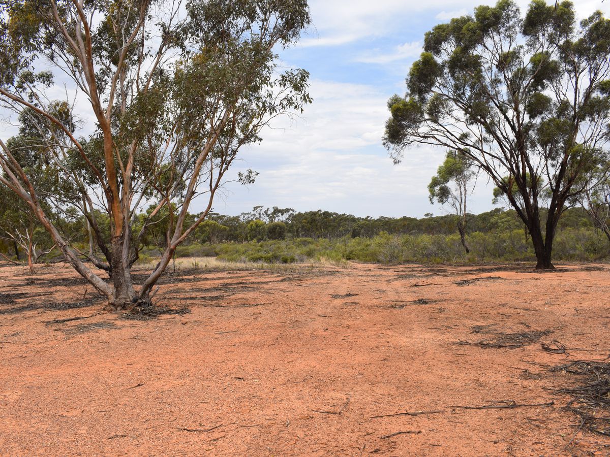 Inglewood-Salisbury Road, Inglewood