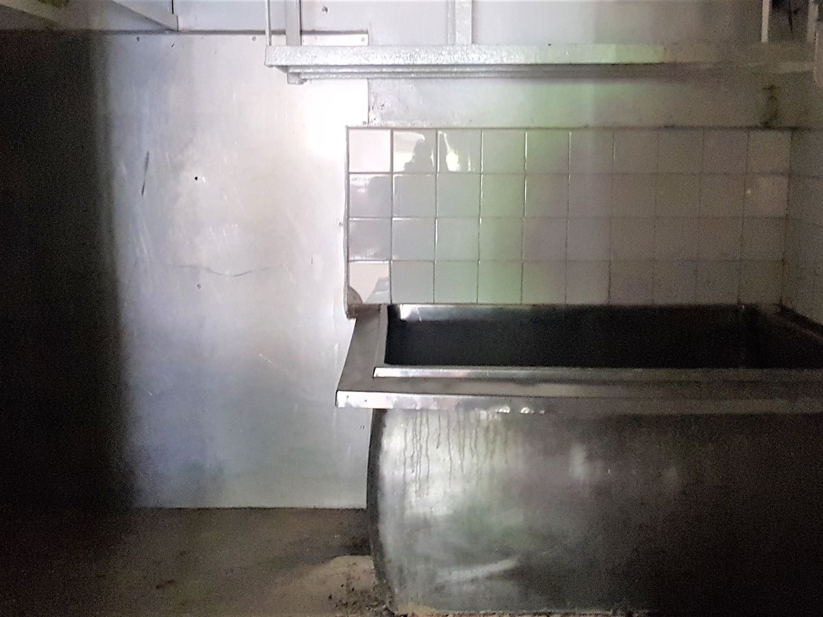 64 Mackay St, Rochester 