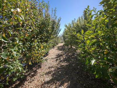 14 Newnham Drive, Romsey