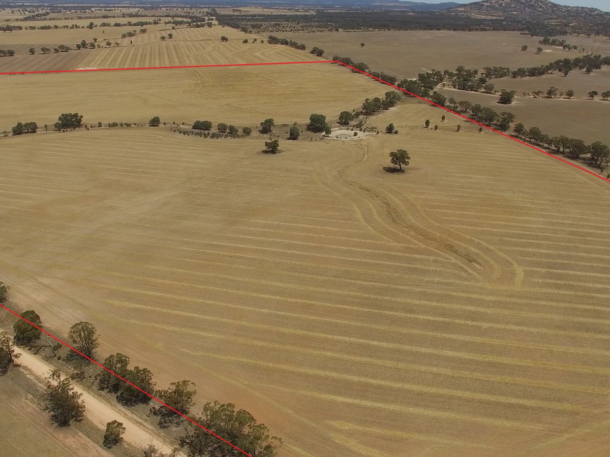 Lot 104, Boort-Kurting Road, Fiery Flat