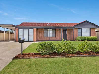 5 Marne Place, St Clair