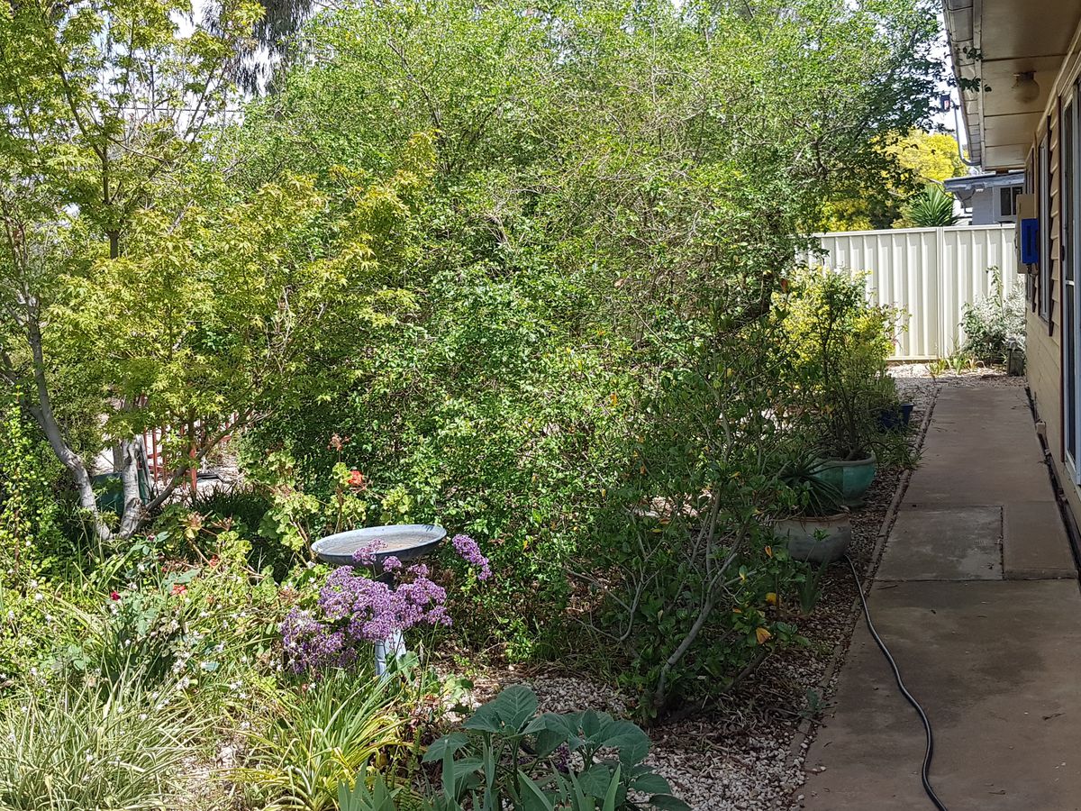 56 Baynes Street, Rochester