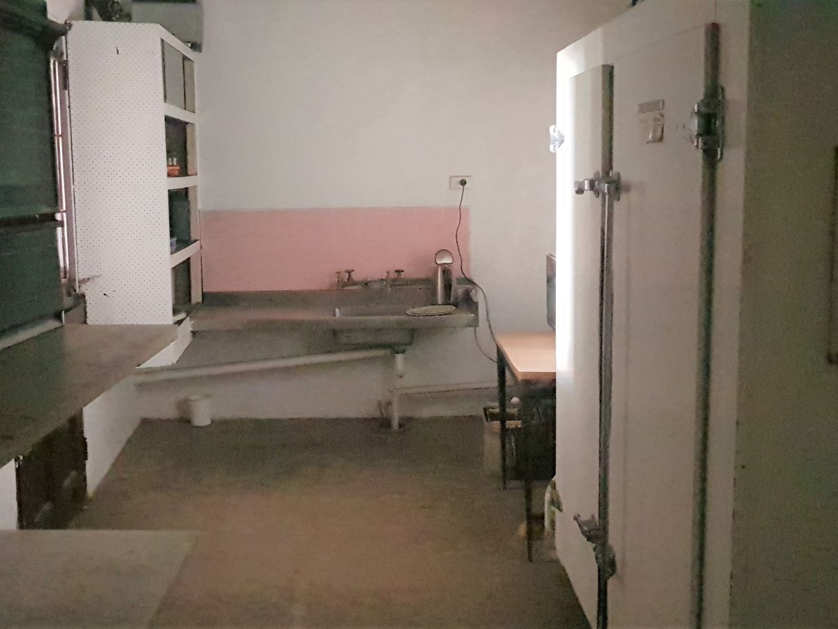 64 Mackay St, Rochester 