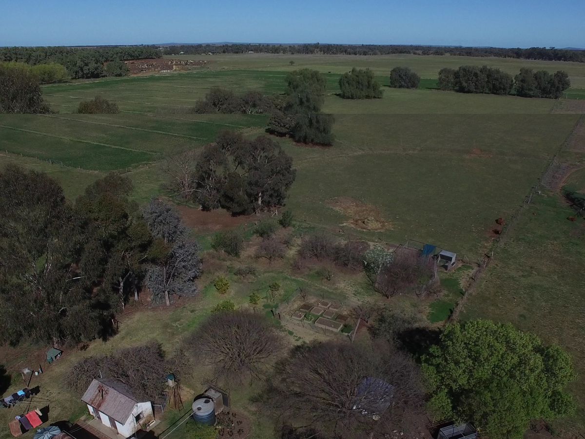 211 Torrumbarry Weir Road, Patho