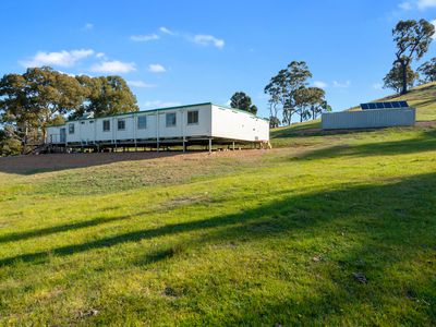 95 Daisyburn Road, Hilldene