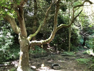 59 and 61 Wilson Road, Balclutha