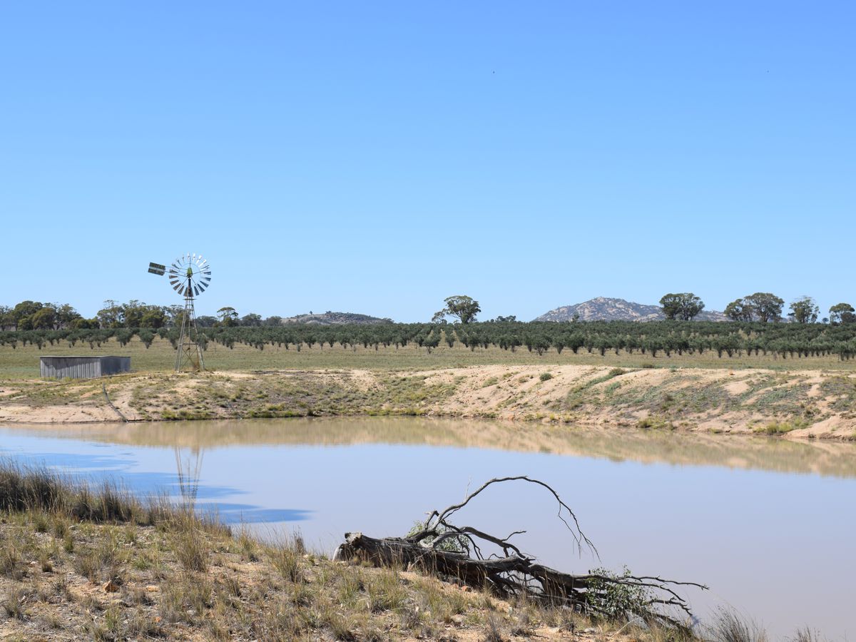 72 KENNEDY ROAD, Fiery Flat