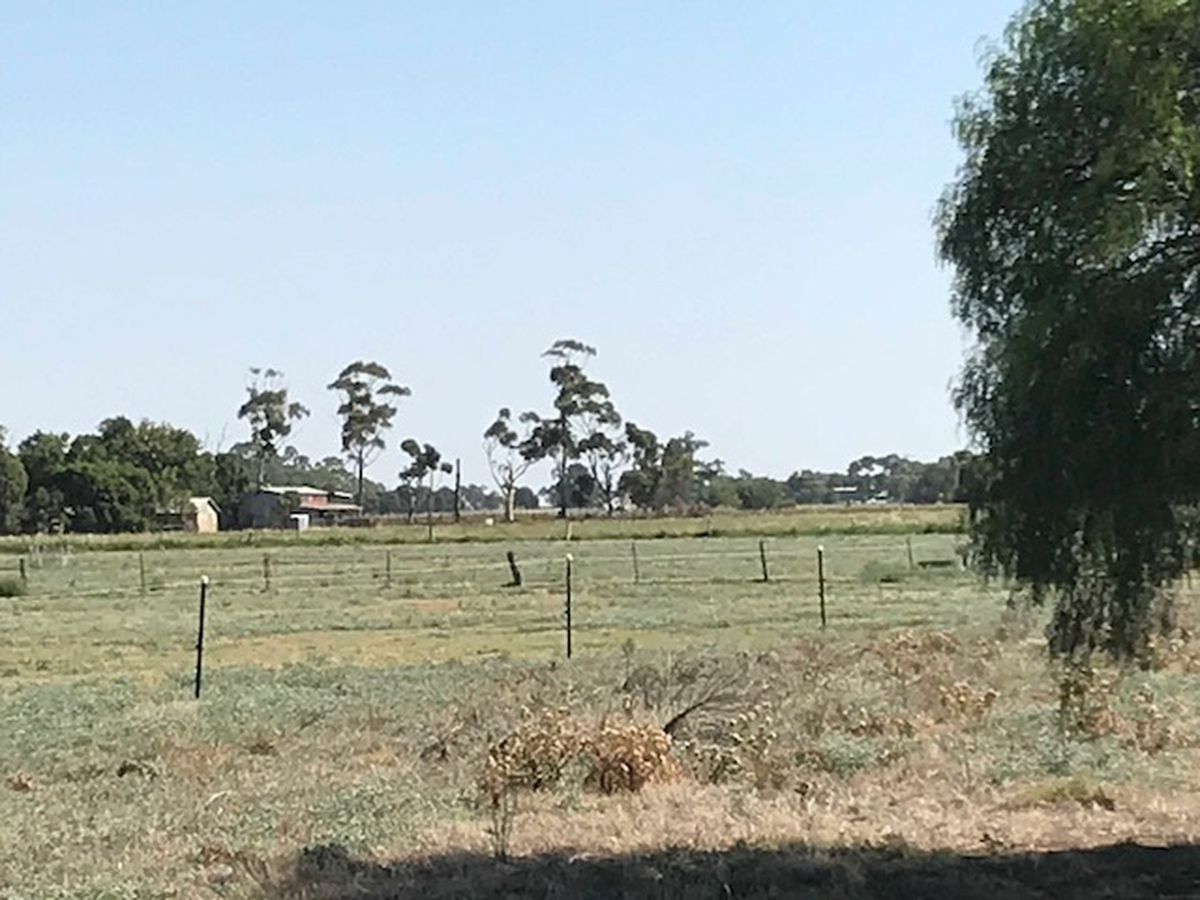 Queen Street, Dingee