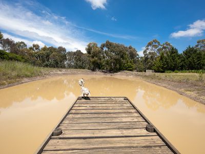 25 Billabong Drive, Monegeetta