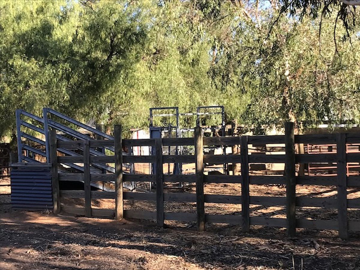 397 Harry Road, Milloo