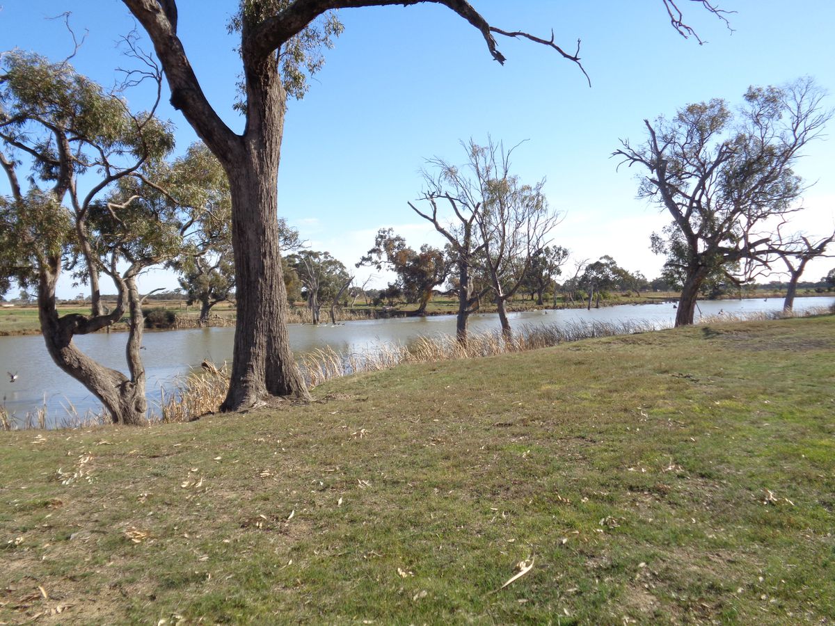 211 Torrumbarry Weir Road, Patho