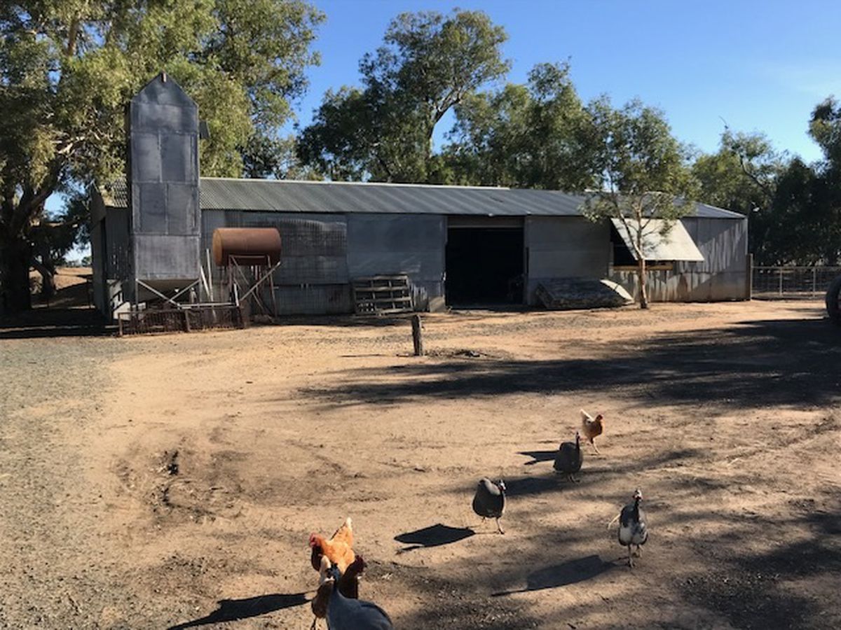 397 Harry Road, Milloo