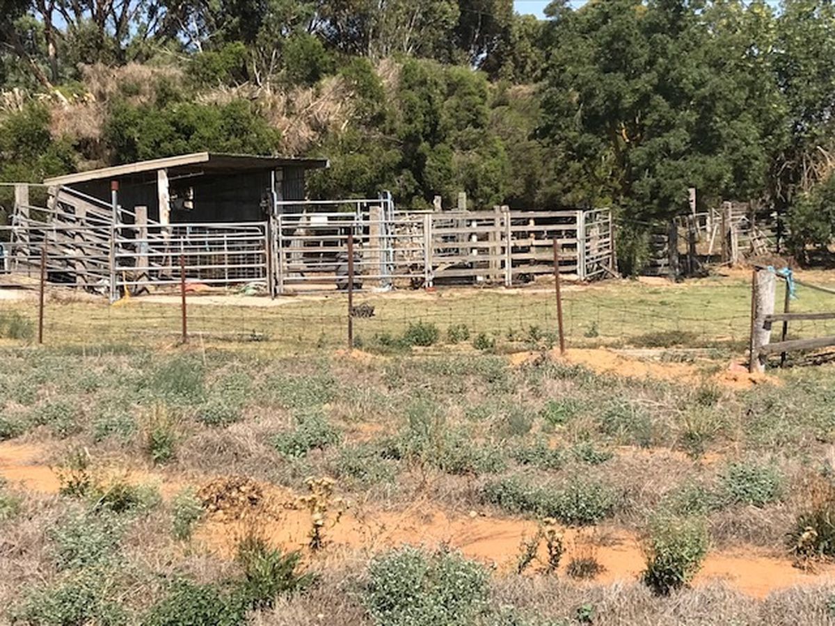 Queen Street, Dingee