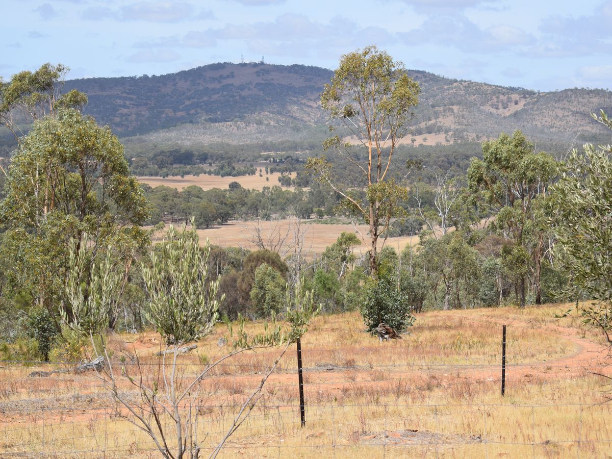 140 O'Briens Drive, Mcintyre