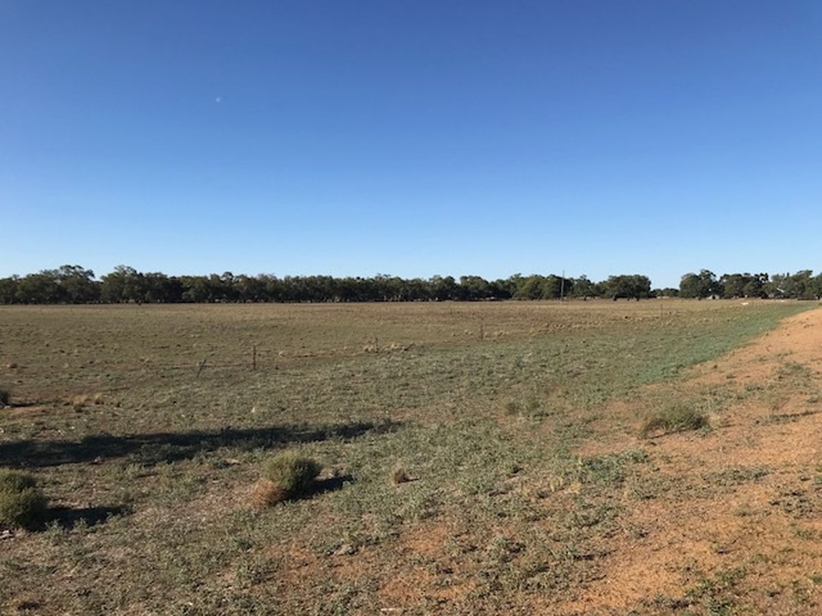 397 Harry Road, Milloo