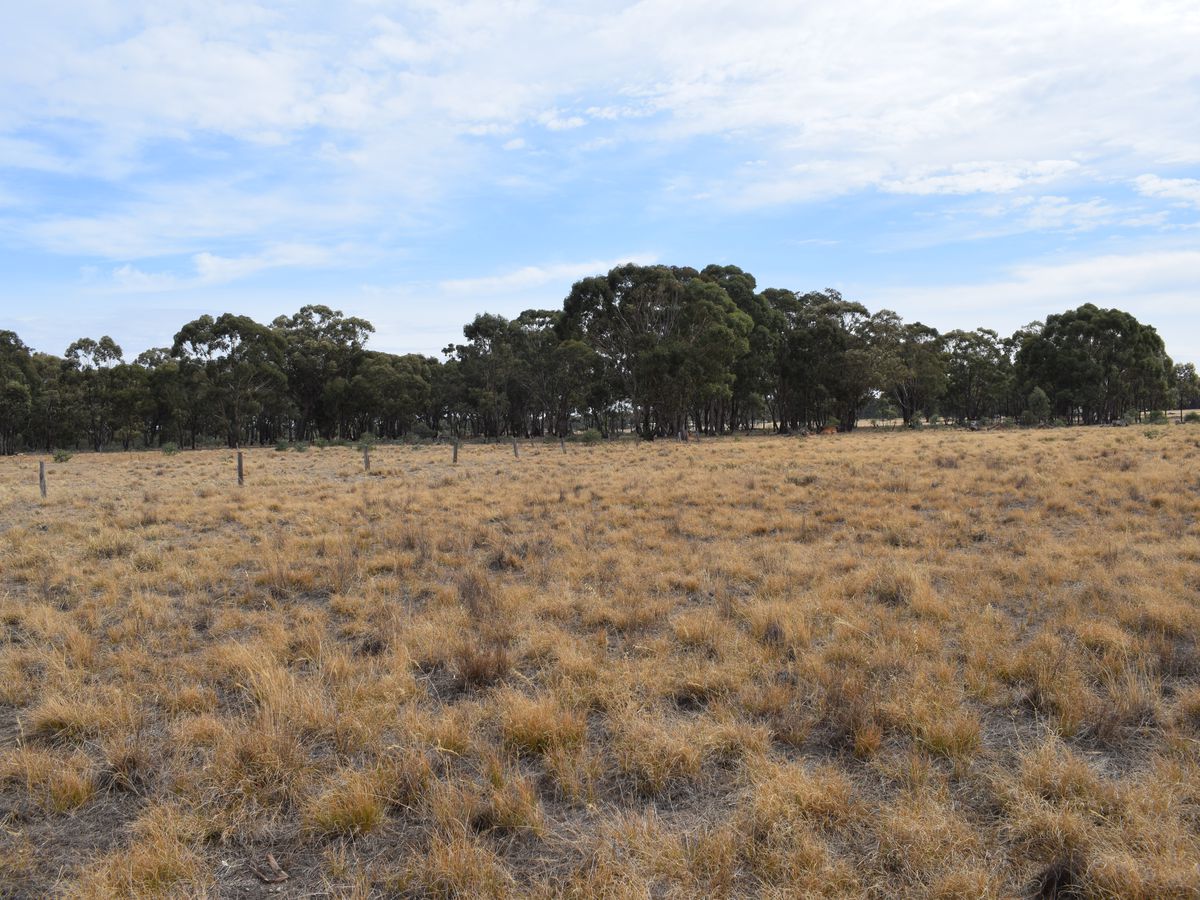 Lot 23, Wet Lane, Inglewood